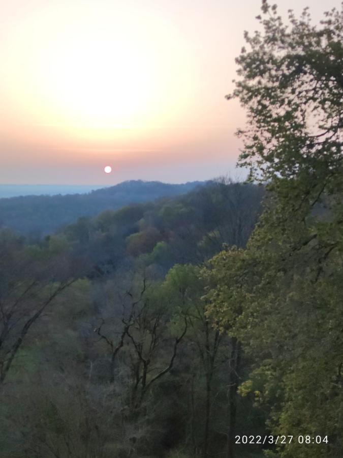 B&B En Plein Coeur De La Foret Artiguelouve Εξωτερικό φωτογραφία